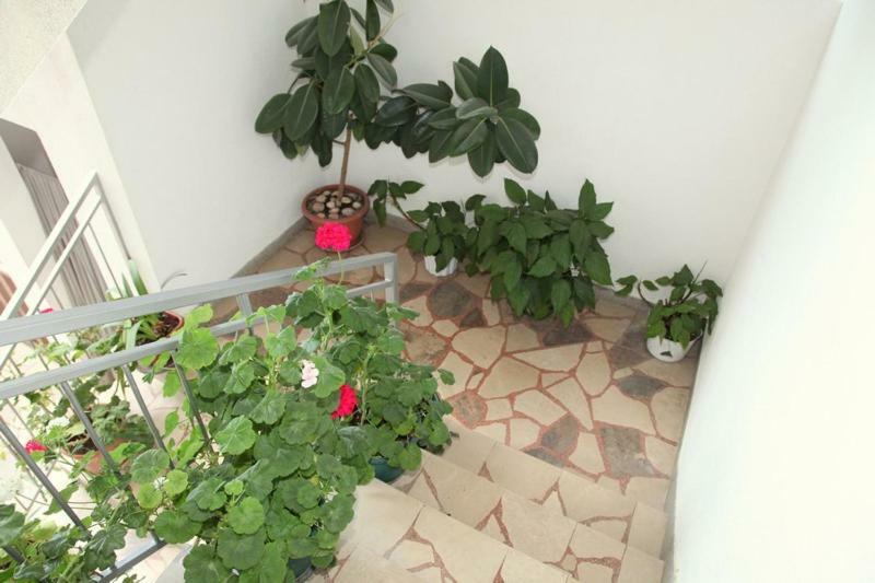 Apartments Villa Ravlic ماكارسكا المظهر الخارجي الصورة